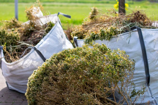 Best Household Junk Removal  in Boise City, OK